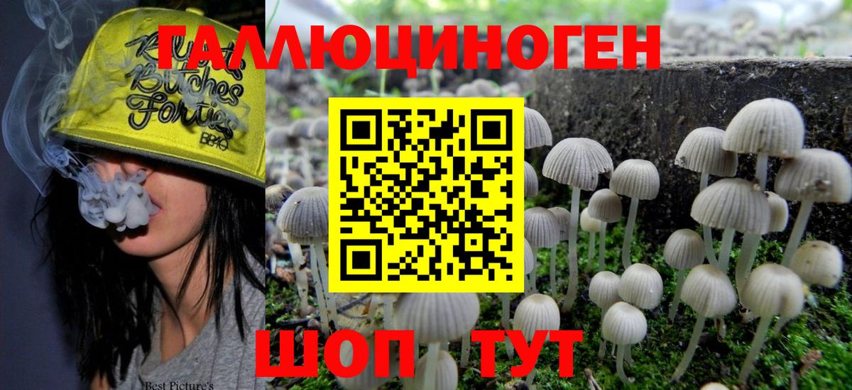 Галлюциногенные грибы прущие грибы Маркс